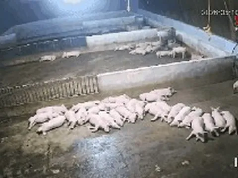 Động đất mạnh 4 độ ở Sơn La khiến nhà cửa rung lắc, người dân chạy ra khỏi nhà sau tiếng động lớn