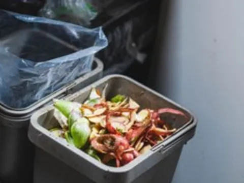 Trời nóng, làm sao để loại bỏ mùi hôi thùng rác nhanh chóng?