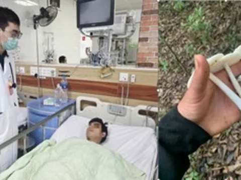 Suy đa tạng vì ăn nấm hái trong rừng