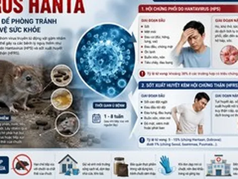 Virus Hanta gây bệnh gì?