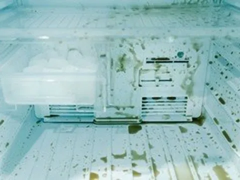 5 cách vệ sinh, khử mùi ngăn đá tủ lạnh