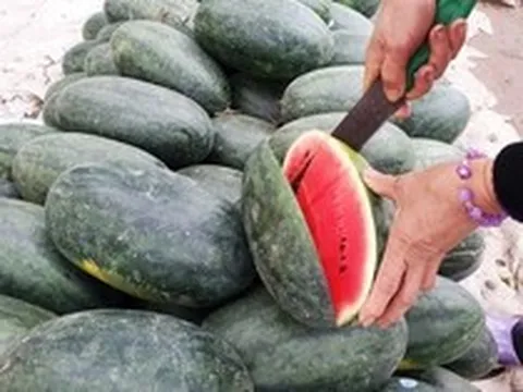 Lời khuyên khi mua dưa hấu