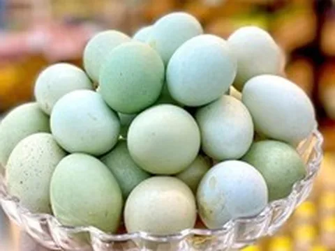Trứng gà vỏ xanh có bổ dưỡng hơn trứng gà vỏ nâu, trắng?