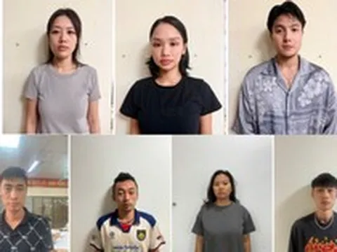 Khởi tố Miu Lê trong vụ tổ chức sử dụng ma túy ở Hải Phòng