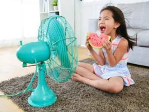 Mẹo làm mát nhà thông minh chỉ bằng quạt điện trong ngày 'nắng điên đảo'