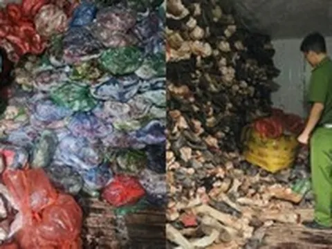 Tiến hành kiểm tra, thu giữ 1.200 kg nội tạng, xương bò bẩn tại một cơ sở kinh doanh ở Hà Nội
