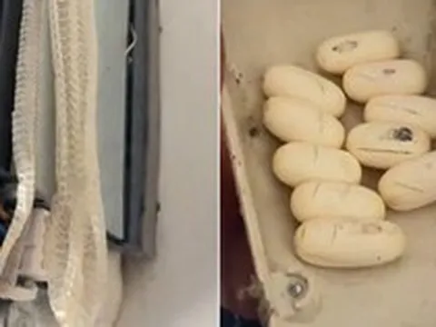 Vệ sinh điều hòa, người đàn ông sốc nặng khi thấy thứ bên trong