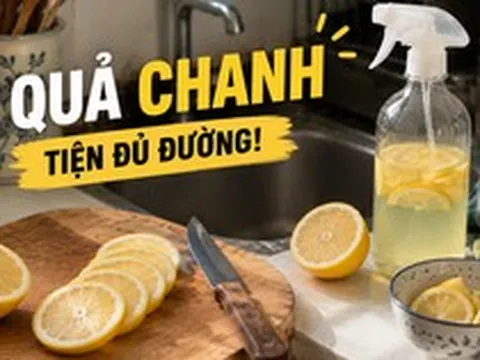 Từ thứ hay bị mốc trong tủ lạnh, chanh giờ trở thành “trợ thủ” số 1 trong căn bếp của tôi: 15 công dụng vừa sạch nhà vừa đỡ tốn tiền