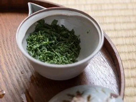 Dùng bã trà bón loại cây văn phòng nào là tốt nhất?