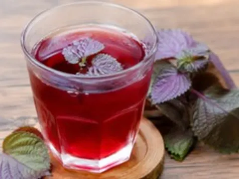 Cách uống nước tía tô giúp thanh nhiệt cơ thể mùa nắng nóng