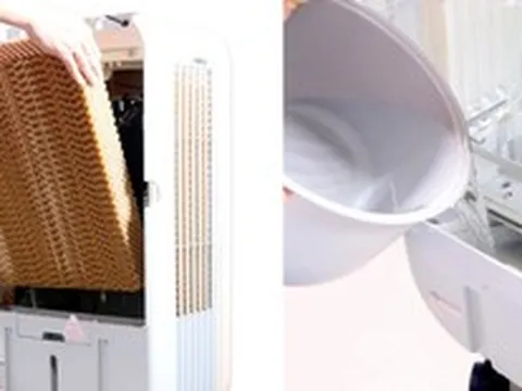 Cách vệ sinh quạt hơi nước đơn giản nhưng hiệu quả