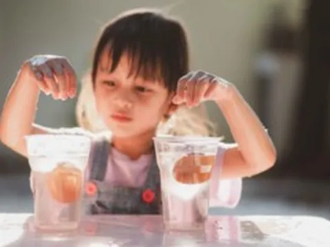Mua quà gì tặng con, cháu mừng Ngày Quốc tế Thiếu nhi 1/6?