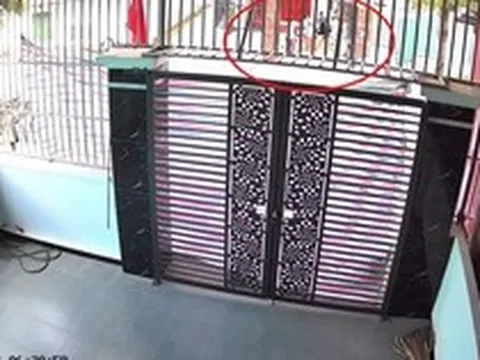 Ngủ dậy thấy cổng bị che bạt kín, người phụ nữ Thanh Hóa vội xem camera thì phát hiện sự thật xúc động
