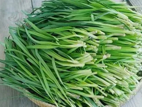 Những tác dụng của lá hẹ với sức khỏe ít người biết