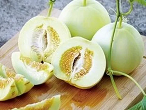 Dưa lê đang vào mùa ngon nhất năm: Ăn mát, ngọt thơm nhưng có những "đại kỵ" không nên xem thường