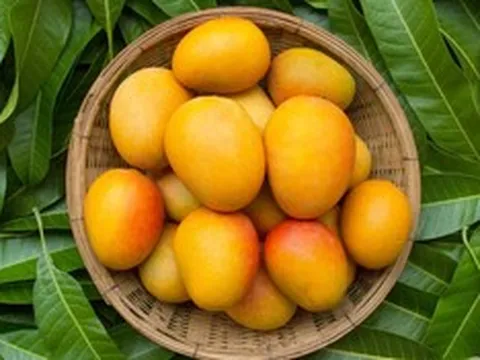 2  loại quả được ví như "thần dược" cho não bộ, nhất quả số 1 hễ ra chợ là thấy