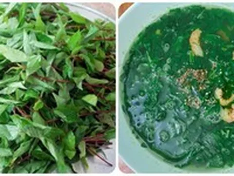 Ăn rau đay thường xuyên có tác dụng gì?