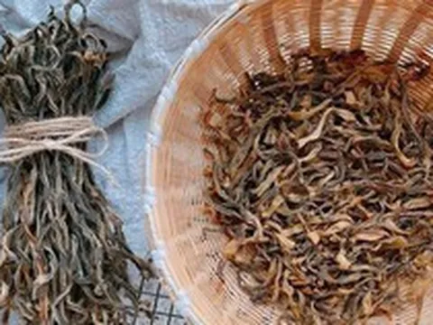 10 loại rau này đem phơi khô còn thơm ngon hơn cả thịt: Bạn đã biết cách phơi khô bao nhiêu loại rồi?