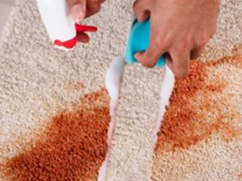 5 cách làm sạch thảm hiệu quả mà không cần giặt