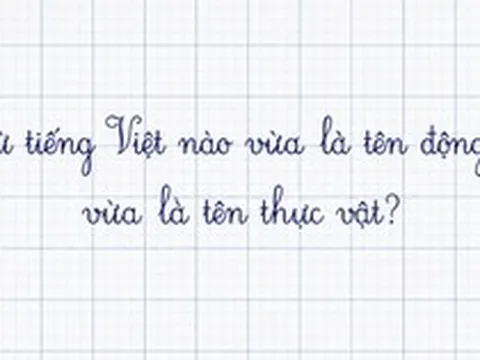 Trong tiếng Việt có một từ vừa là tên động vật vừa là tên thực vật