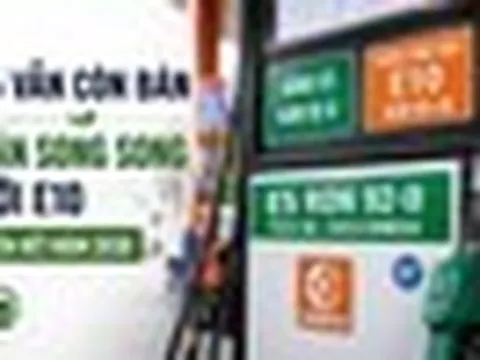 Xăng E5 bỗng dưng "đắt hàng", nhiều chủ xe đời cũ săn lùng: Bộ Công Thương nói gì?