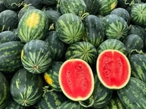 5 lời khuyên khi mua dưa hấu