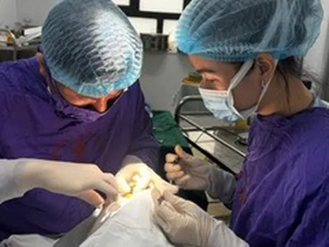 Dập nhãn cầu, lệch thủy tinh thể vì quả cầu lông đập vào mắt