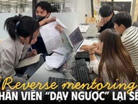 Thời thế thay đổi: Dân văn phòng trở thành cố vấn cho lãnh đạo cấp cao, “dạy” sếp đủ thứ hay ho mới mẻ