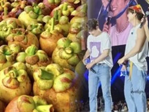 Nữ hoàng trái cây Việt giá 3 triệu/kg khiến khách Hàn lùng sục, làm ông hoàng Kpop mê điên đảo theo