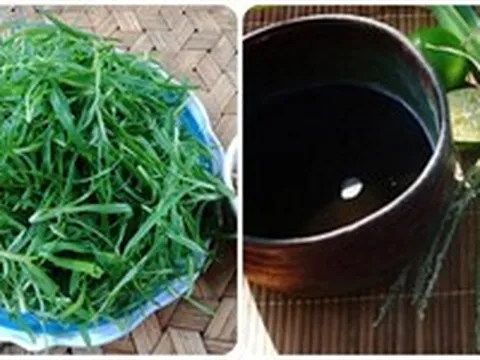 Cỏ mần trầu nấu nước uống có tác dụng gì?