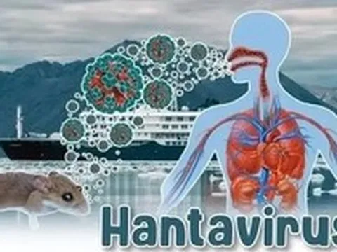 Bộ Y tế lên tiếng về dịch bệnh do virus Hanta