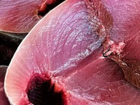 5 loại cá giàu protein bậc nhất