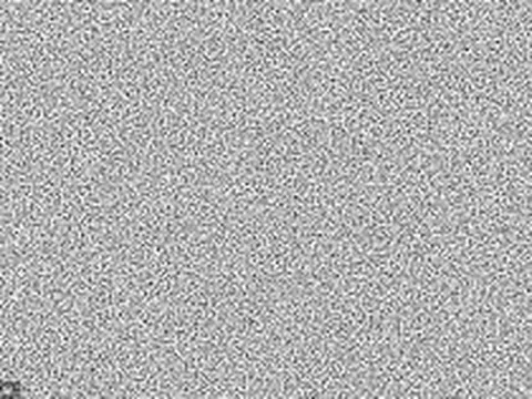 Phông chữ khiến AI không thể giải mã, chỉ con người mới đọc được