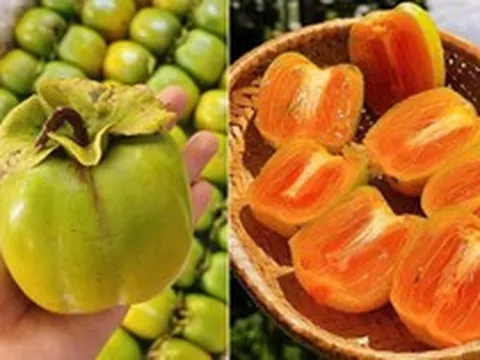 4 loại trái cây nhiều người mê nhưng dạ dày lại không “ưa”: Biết để ăn cho đúng