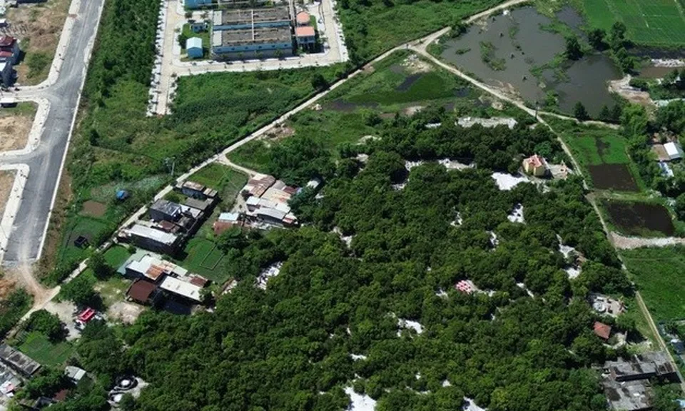 Đà Nẵng: Người dân quyết giữ rừng ngay đô thị giữa thời đất vàng