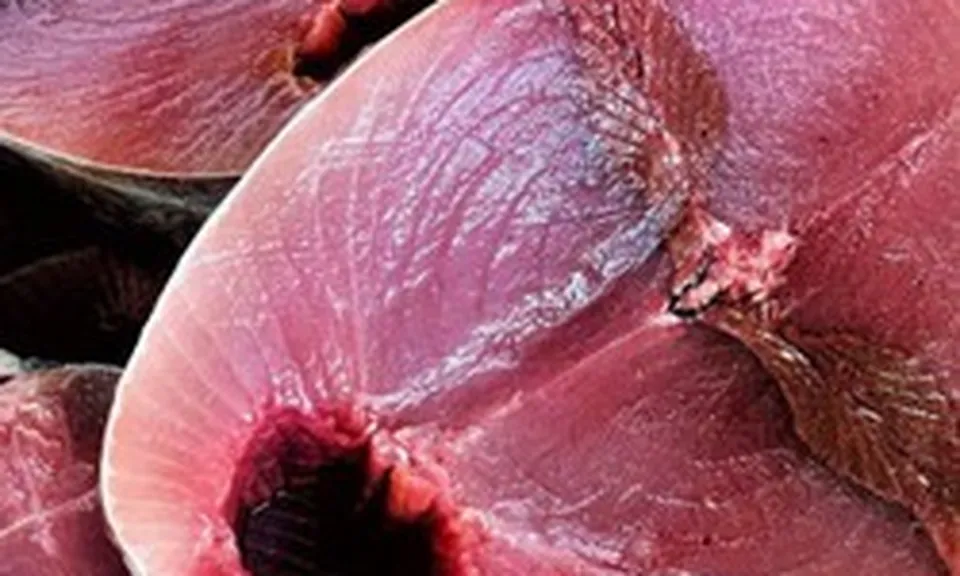 5 loại cá giàu protein bậc nhất
