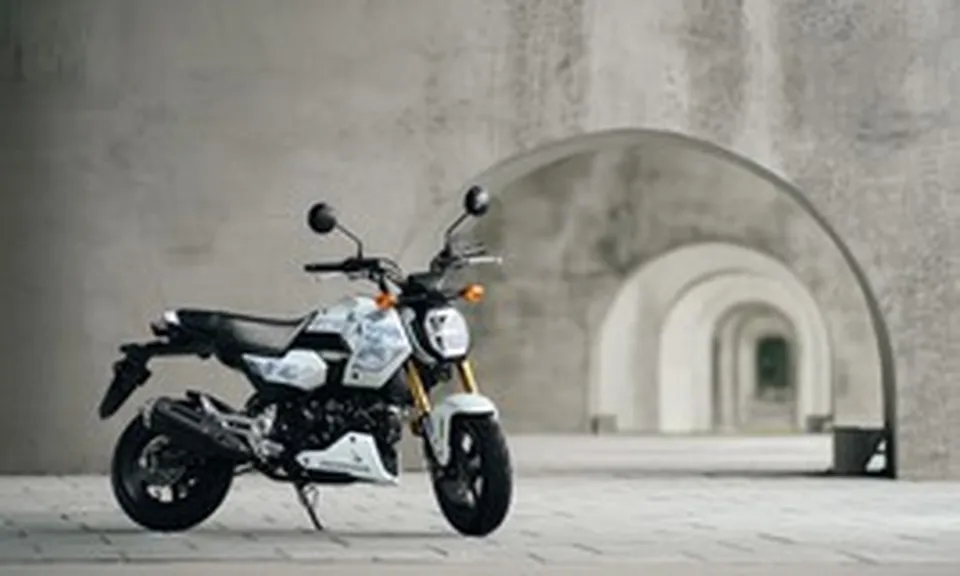 Honda MSX GROM 2027 tung bản rằn ri độc lạ khiến dân chơi xe côn tay tí hon phát sốt
